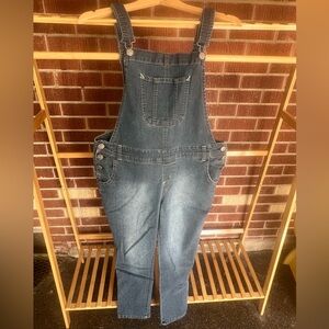 Wallflower dark wash overalls